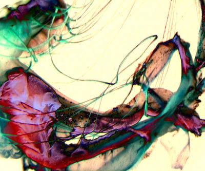Untitled25