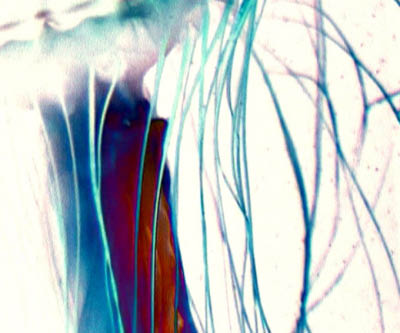 Untitled25