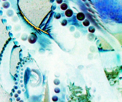 Untitled25
