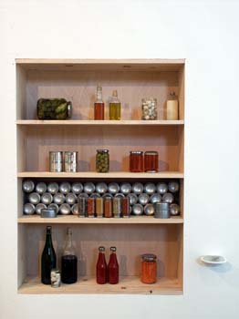 D. kitchen-shelf