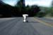 Toilet-Run-II